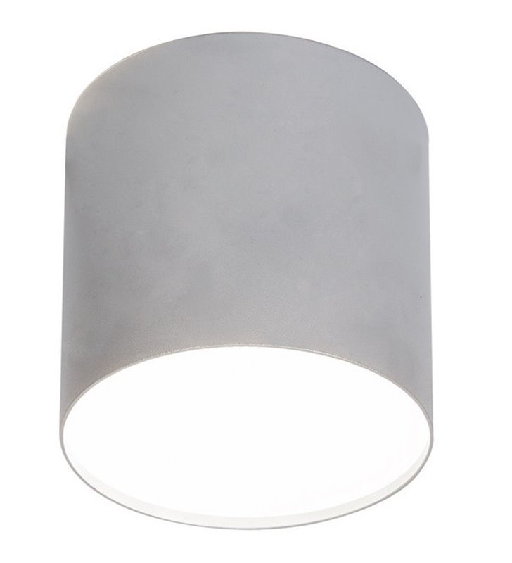 Lampa sufitowa downlight srebrna okrągła Point Plexi Silver