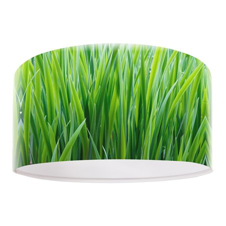 Zielona lampa wisząca Wiosenna Trawa nadruk trawy na kloszu do jadalni kuchni